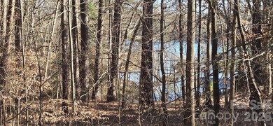 Lake Norman Lot For Sale in Catawba North Carolina