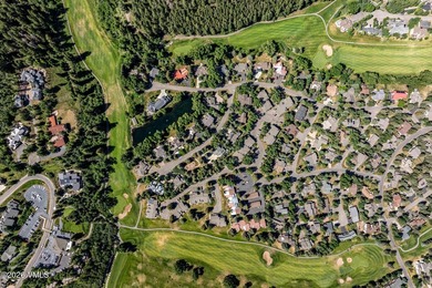 Tucked along one of EagleVail's most coveted streets, this - photo 36