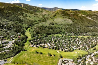 Tucked along one of EagleVail's most coveted streets, this - photo 38