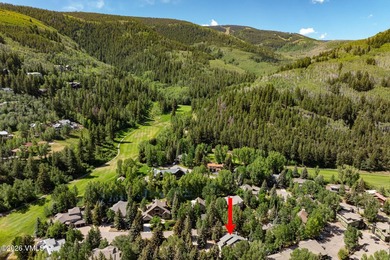 Tucked along one of EagleVail's most coveted streets, this - photo 41