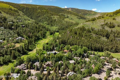 Tucked along one of EagleVail's most coveted streets, this - photo 42