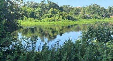 Lake Lot For Sale in Brandon, Florida