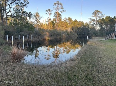 Cleared Double Lot in Shoreline Park - Ready to Build! Build - photo 2