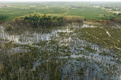 (private lake, pond, coastal) Acreage For Sale in Millport Alabama
