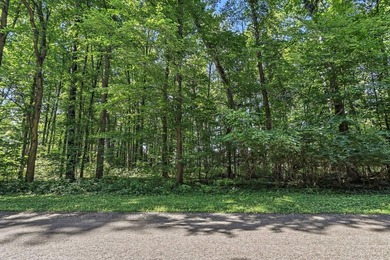 Portage Lake - Kalamazoo County Lot For Sale in Galesburg Michigan
