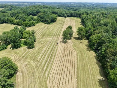 49+/- acres with a home, barns, road frontage, and room to grow - photo 11
