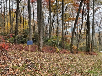 Wonderful 5 acre parcel in the Estates section of GlenCove - photo 12