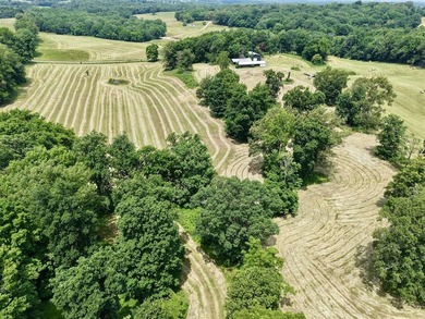 49+/- acres with a home, barns, road frontage, and room to grow - photo 12