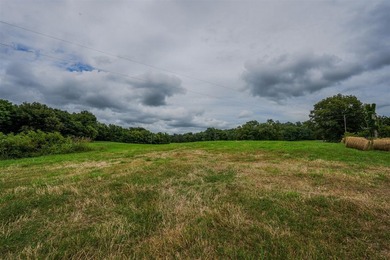 49+/- acres with a home, barns, road frontage, and room to grow - photo 17