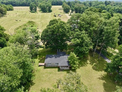 49+/- acres with a home, barns, road frontage, and room to grow - photo 20