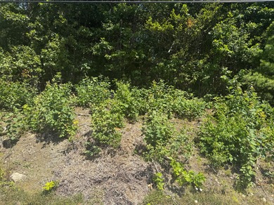 Scenic 3.50-Acre River/ Ocean front Property with Panoramic - photo 8