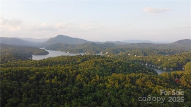 Lake Acreage For Sale in Lake Lure, North Carolina