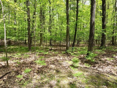 Higgins Lake Lot For Sale in Roscommon Michigan