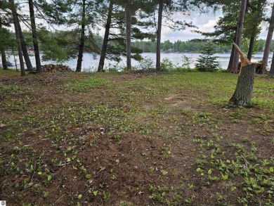 Lake Lot For Sale in South Branch, Michigan