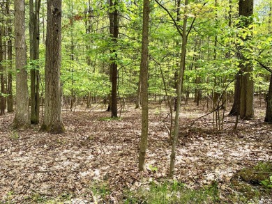 Lake Lot For Sale in Roscommon, Michigan