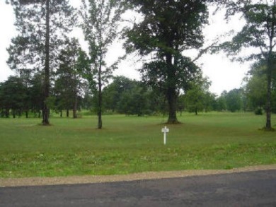 Sutherland Lake Lot For Sale in Harrison Michigan