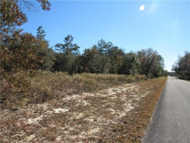 Withlacoochee River - Marion County Lot For Sale in Dunnellon Florida