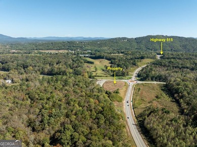 Coosawattee River - Gilmer County Commercial For Sale in Ellijay Georgia