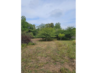 Lake Lot For Sale in Central City, Pennsylvania