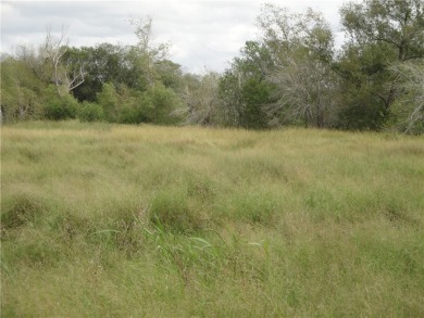  Lot For Sale in Mathis Texas