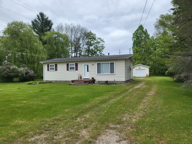 Ausable Lake Home For Sale in Lupton Michigan