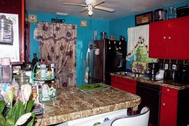SPECTACULAR SINGLE FAMILY HOME WITH NO HOA located in the heart - photo 12