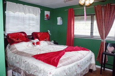 SPECTACULAR SINGLE FAMILY HOME WITH NO HOA located in the heart - photo 14