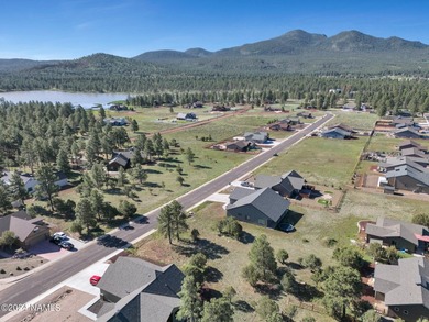 Rare opportunity to own one of the last treed lots in Highland - photo 15