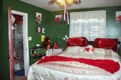 SPECTACULAR SINGLE FAMILY HOME WITH NO HOA located in the heart - photo 16