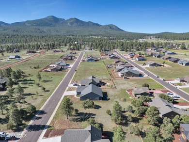 Rare opportunity to own one of the last treed lots in Highland - photo 18