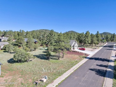 Rare opportunity to own one of the last treed lots in Highland - photo 19