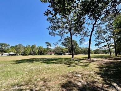 Well-kept home on a lot and a half that backs up to the golf - photo 19