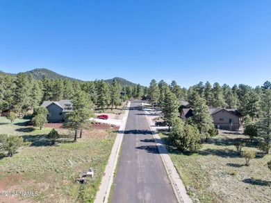 Rare opportunity to own one of the last treed lots in Highland - photo 20
