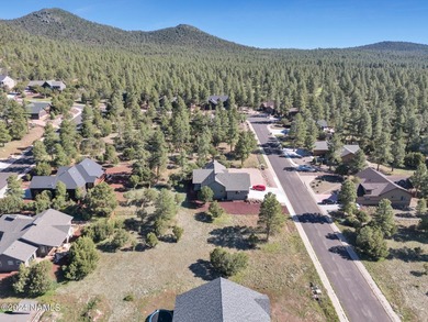 Rare opportunity to own one of the last treed lots in Highland - photo 21
