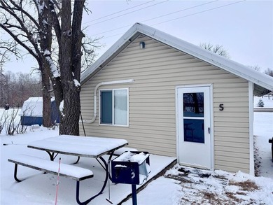 Deer Lake - Otter Tail County Home For Sale in Battle Lake Minnesota