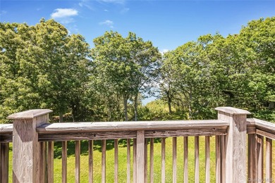 Enjoy breathtaking views of the Long Island Sound from this well - photo 23