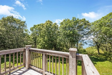 Enjoy breathtaking views of the Long Island Sound from this well - photo 24