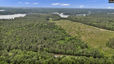 Wooded, undeveloped tract of land fronting Dominion fringe land - photo 7