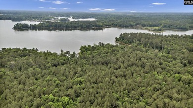 Wooded, undeveloped tract of land fronting Dominion fringe land - photo 9