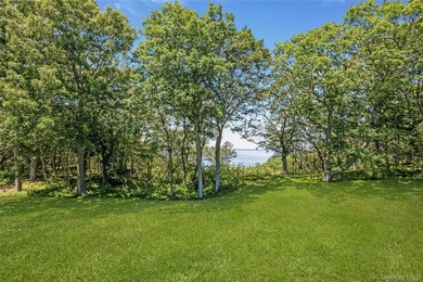 Enjoy breathtaking views of the Long Island Sound from this well - photo 29