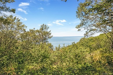 Enjoy breathtaking views of the Long Island Sound from this well - photo 30