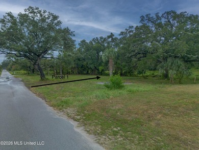 Experience the vibrant lifestyle of the Mississippi Gulf Coast - photo 3