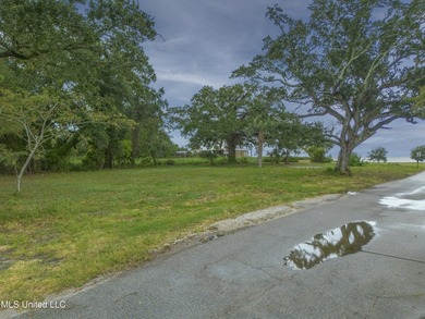 Experience the vibrant lifestyle of the Mississippi Gulf Coast - photo 9