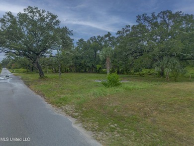 Experience the vibrant lifestyle of the Mississippi Gulf Coast - photo 10
