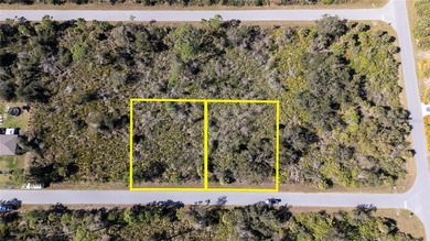 Port Charlotte Waterway Area Lot For Sale in Port Charlotte Florida