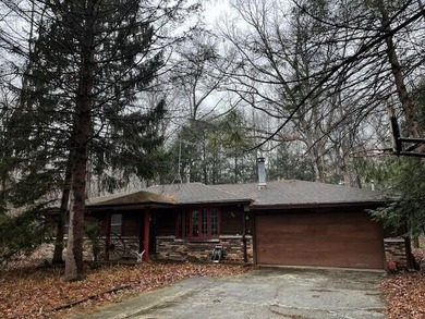 Lake Michigan - Porter County Home For Sale in Beverly Shores Indiana