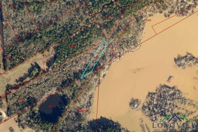 Lake O The Pines Lot For Sale in Ore City Texas
