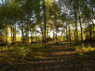 (private lake, pond, creek) Lot For Sale in Palmersville Tennessee