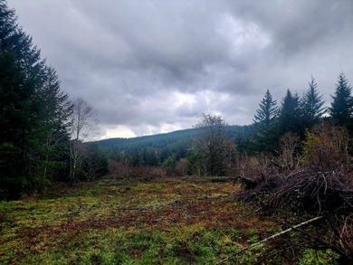 Secluded 33.55 Acre Homestead with Creek Frontage steps away - photo 13