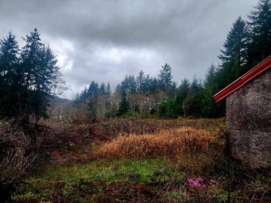 Secluded 33.55 Acre Homestead with Creek Frontage steps away - photo 14